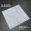 Gạch Ốp Lát Trung Quốc 100x100 KL10104