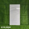 Gạch Ốp Lát Taicera 60x120cm G12L50JW
