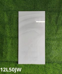 Gạch Ốp Lát Taicera 60x120cm G12L50JW