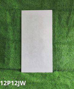 Gạch Ốp Lát Taicera 60x120cm G12P12JW