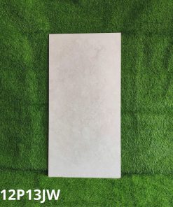 Gạch Ốp Lát Taicera 60x120cm G12P13JW