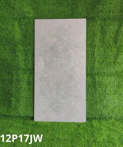 Gạch Ốp Lát Taicera 60x120cm G12P17JW