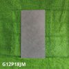Gạch Ốp Lát Taicera 60x120cm G12P18JM