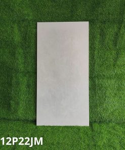Gạch Ốp Lát Taicera 60x120cm G12P22JM