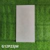 Gạch Ốp Lát Taicera 60x120cm G12P23JM