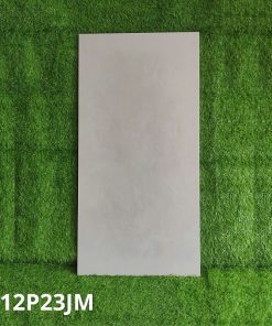 Gạch Ốp Lát Taicera 60x120cm G12P23JM