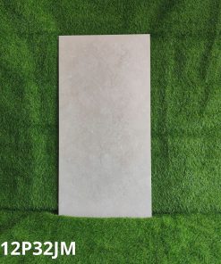 Gạch Ốp Lát Taicera 60x120cm G12P32JM