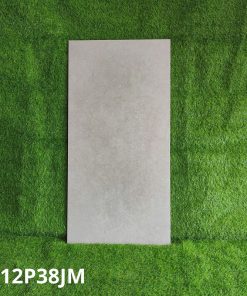 Gạch Ốp Lát Taicera 60x120cm G12P38JM
