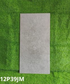 Gạch Ốp Lát Taicera 60x120cm G12P39JM