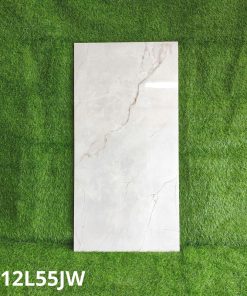 Gạch Ốp Lát Taicera 60x120cm G12P55JW