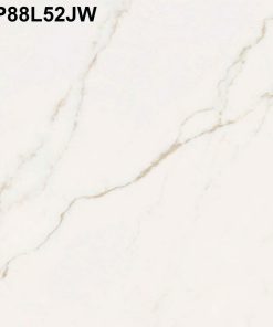 Gạch Ốp Lát Taicera 80x80 GP88L53JW 3