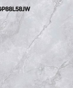 Gạch Ốp Lát Taicera 80×80 GP88L58JW