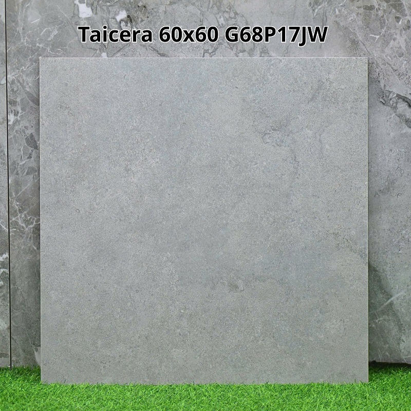 Gạch Ốp Lát Taicera 60x60cm G68P17JW 2