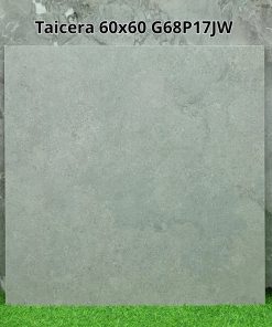 Gạch Ốp Lát Taicera 60x60cm G68P17JW
