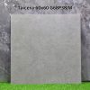 Gạch Ốp Lát Taicera 60x60cm G68P38JM
