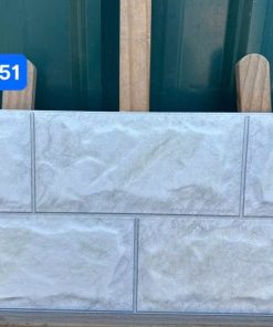 Gạch Ốp Lát 25x50cm Viglacera HA-2551