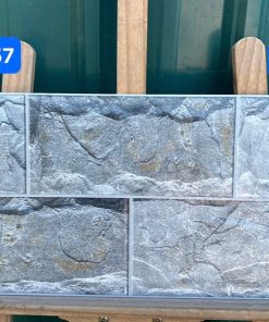 Gạch Ốp Lát 25x50cm Viglacera HA-2557 1