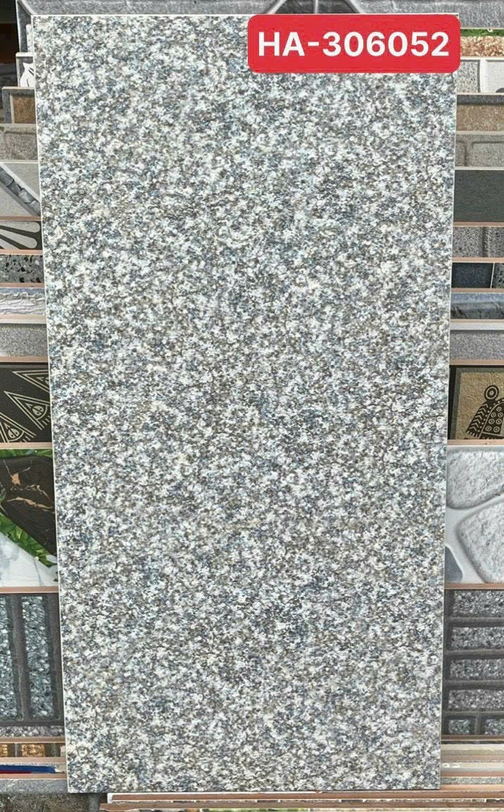 Gạch ốp lát 30x60 Thanh Thanh Ceramic HA-306052 3