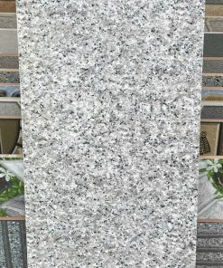 Gạch ốp lát 30x60 Thanh Thanh Ceramic HA-306054 1