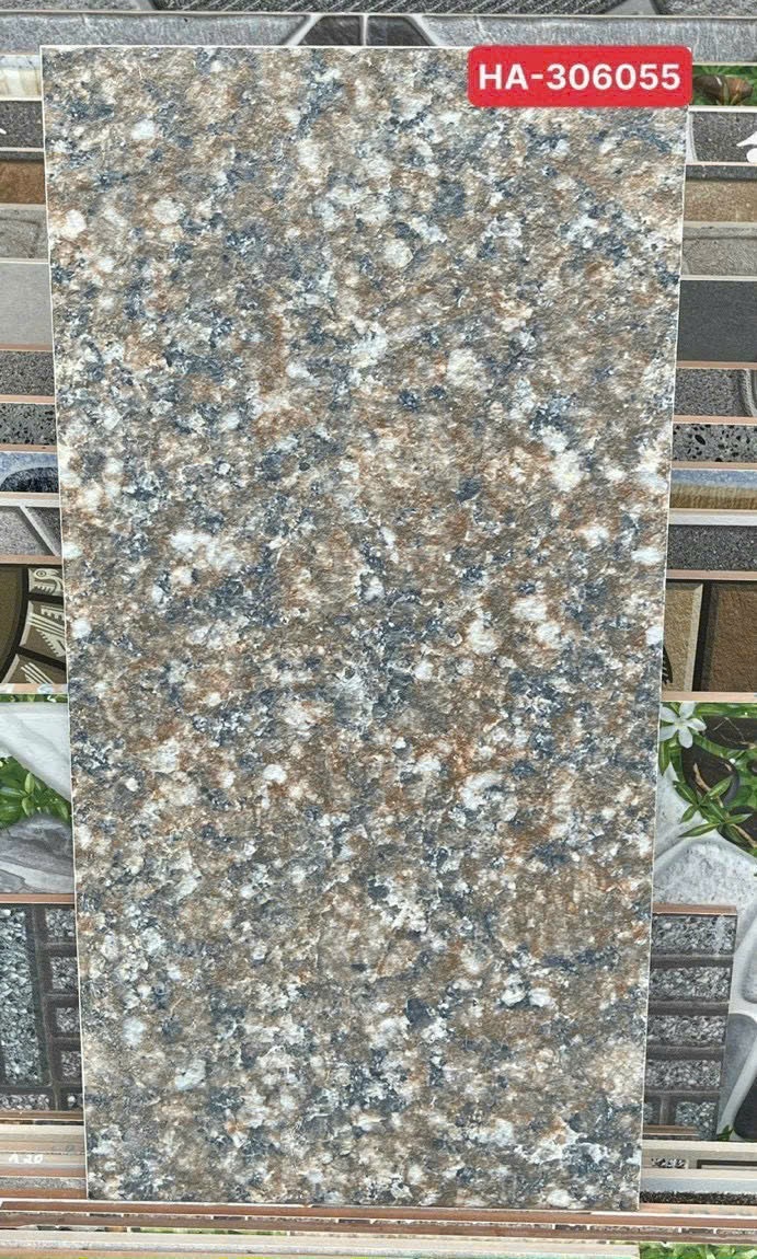 Gạch ốp lát 30x60 Thanh Thanh Ceramic HA-306055 2