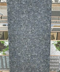 Gạch ốp lát 30x60 Thanh Thanh Ceramic HA-306056 1
