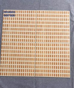 HHA603