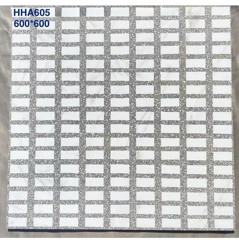 HHA605 HHA605