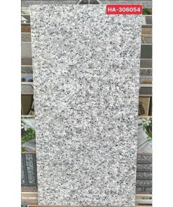 Thanh-Thanh-HA-306054