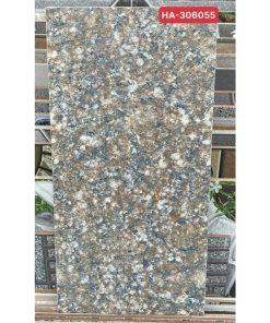 Gạch ốp lát 30x60 Thanh Thanh Ceramic HA-306055