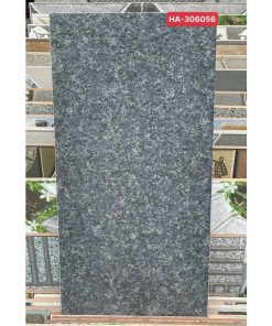 Gạch ốp lát 30x60 Thanh Thanh Ceramic HA-306056