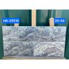 Gạch Ốp Lát 25x50cm Viglacera HA-25510