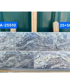 Gạch Ốp Lát 25x50cm Viglacera HA-25510