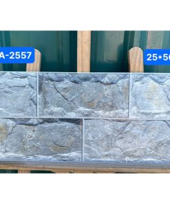 Gạch Ốp Lát 25x50cm Viglacera HA-2557