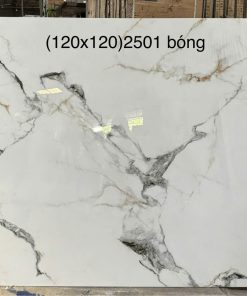 Gạch Ốp Lát 120x120cm Trung Quốc 2501