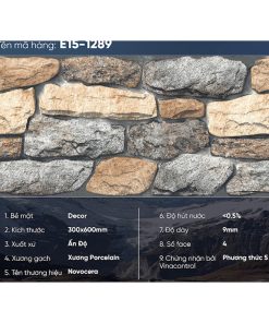 Gạch Ốp Lát Trang Trí 30×60 Ấn Độ E15-1289