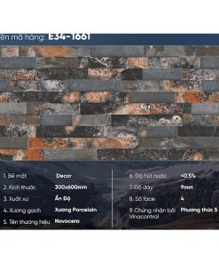 Gạch Ốp Lát Trang Trí 30x60 Ấn Độ E34-1661