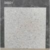Gạch Ốp Lát 60x60cm Trung Quốc S6031