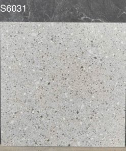 Gạch Ốp Lát 60x60cm Trung Quốc S6031