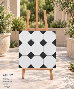 Gạch Ốp Lát Trung Quốc 60x60cm 6BL12