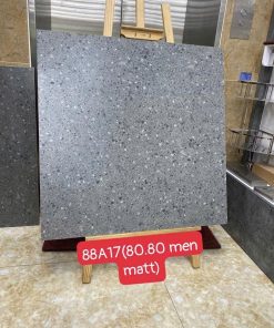 Gạch Ốp Lát 80x80cm Trung Quốc Tezazo 88A17 3